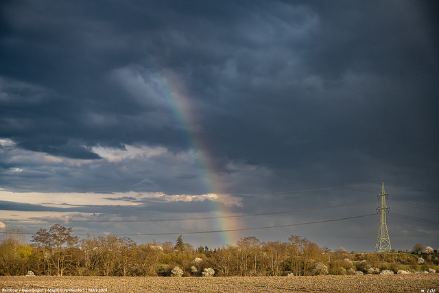 Rainbow / Regenbogen | Magdeburg-Diesdorf | März 2024