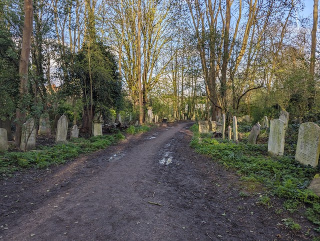 Abney Park Cemetery, north path.