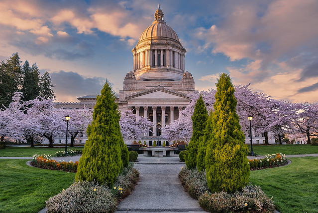 Spring Time on the Olympia Capitol Grounds 1
