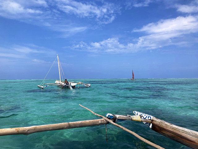 vue depuis un dhow Zanzibar_7830