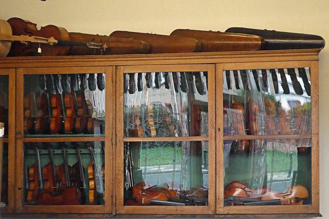 Inside the Violin Shop