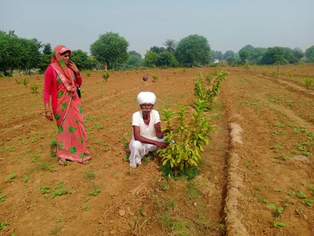 grow-billion-trees-for-farmers