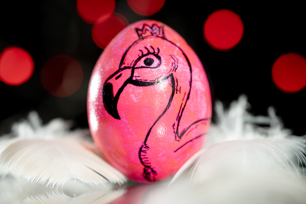 Flamingo egg - My entry for todays 