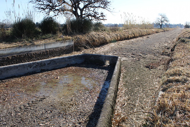 Earthen canal with no water and duck bill weir, Crau region, south of France