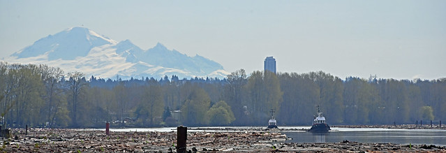 Mt Baker and tugs on the north arm of the Fraser River