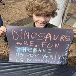 Dinosaurs are fun - They are happy animals - Because they are cool 
