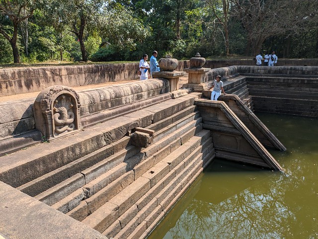 Five Headed Cobra Sculpture Guards (left) Guards the Waters - Twin Ponds - Sacred City of Anuradhapura, Sri Lanka