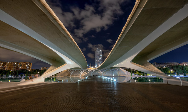 Elegance in engineering: Calatrava's iconic bridge
