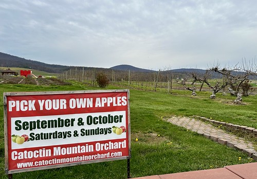Catoctin Mountain Orchard Sign Pick your own apples at catoctin Mountain Orchard, in Frederick County, Maryland. 