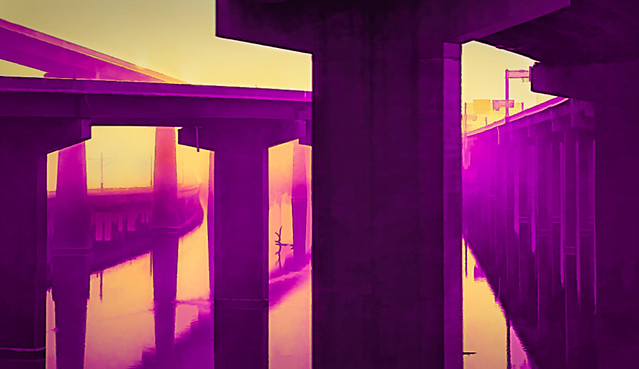 Purple Highways