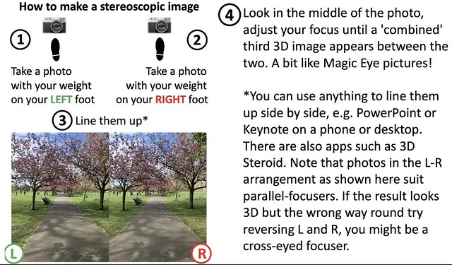 01 Stereoscopic how to instructions