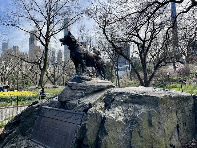 New York City-Central Park•Statue of Balto by Frederick Roth, 1925 🐕 •••Endurance•Fidelity•Intelligence•••