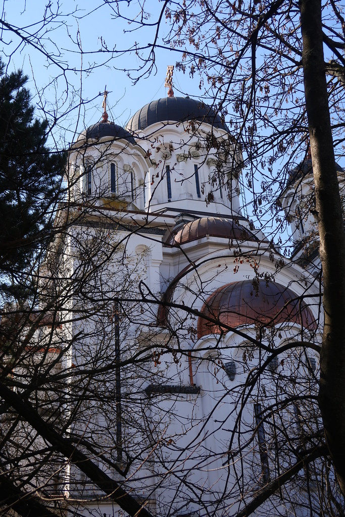 Biserica Manastirii Casin (7)