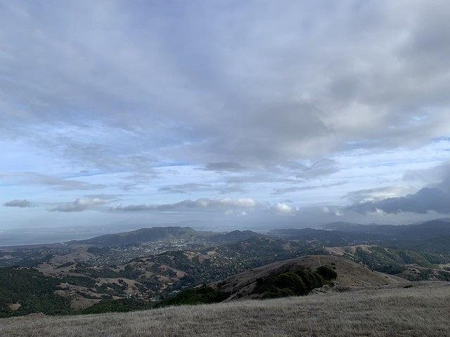 Marin hills