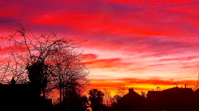 Winter Sunrise from my Window.  (Mobile phone shot)
