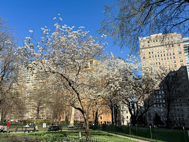 Spring in Rittenhouse Square