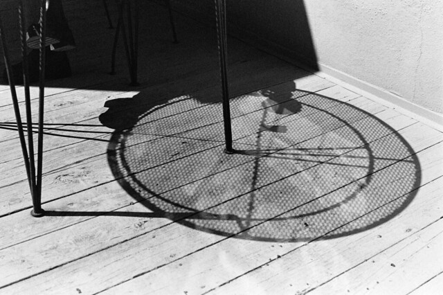 circle shadows