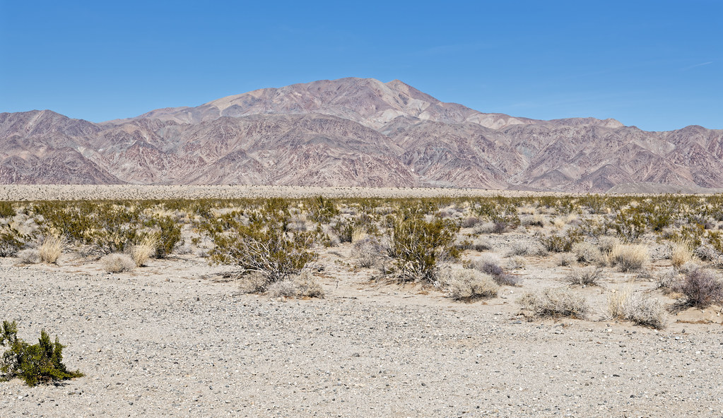There's Not a Lot of Traffic in Joshua Tree National Park