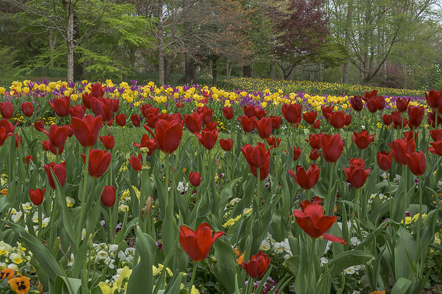 Sunday Afternoon  in the Gardens