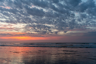 Ocean Grove RAAFS Beach Sunrise-13