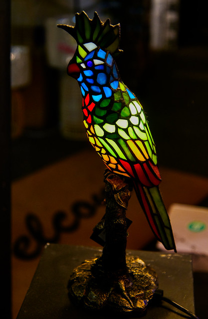 Colourful Cockatoo