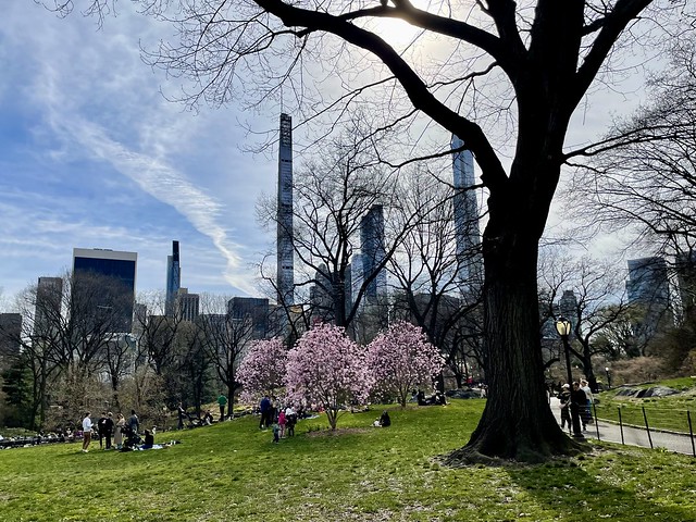 New York City-Central Park•Easter Sunday 🐇