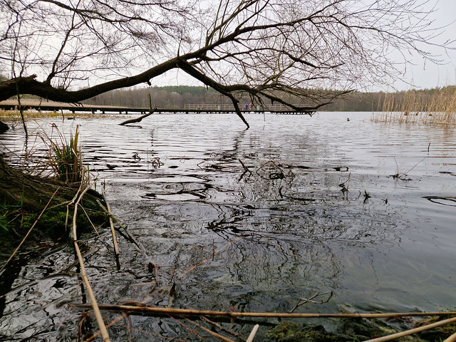 Kortowskie lake