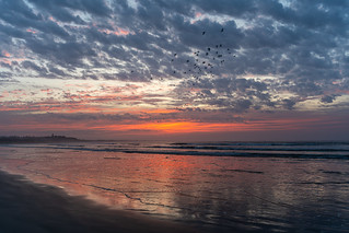 Ocean Grove RAAFS Beach Sunrise-12