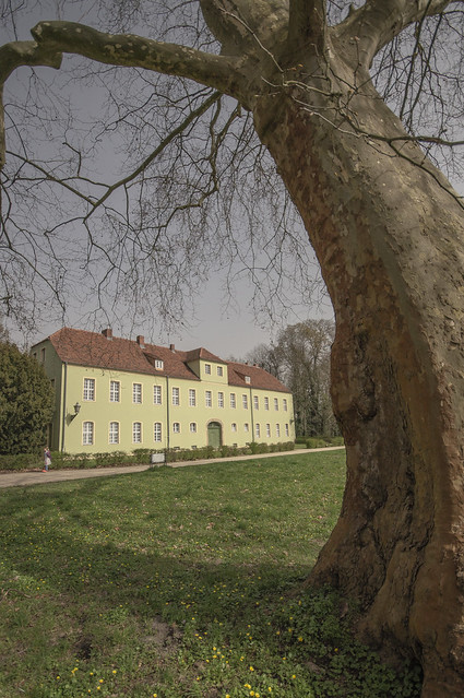 Grünes Haus - Potsdam