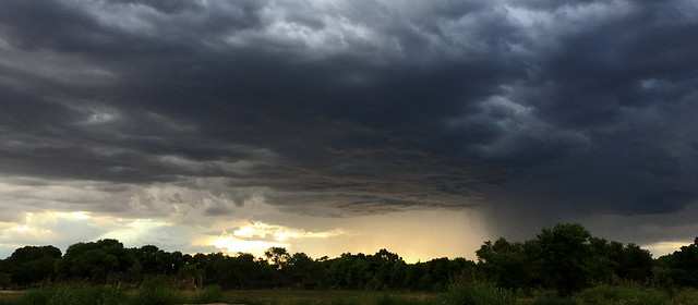 Storm.  New Mexico, USA.