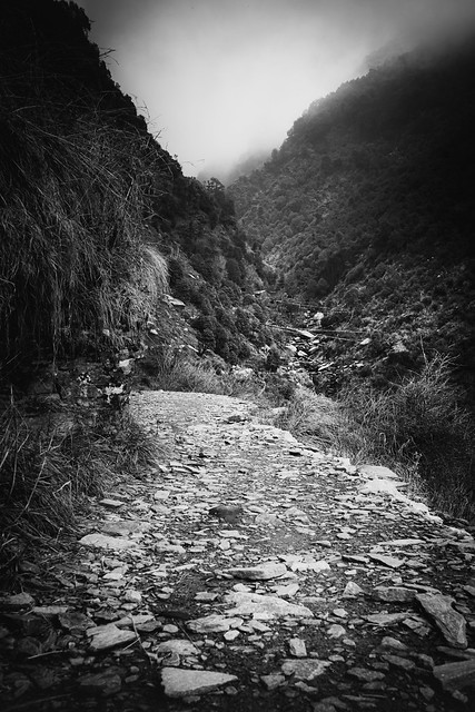 March 2024. Bhagsu Nag, Himachal Pradesh, India.