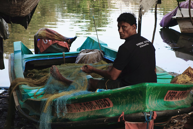 Fishing Fleet - Negombo, Sri Lanka