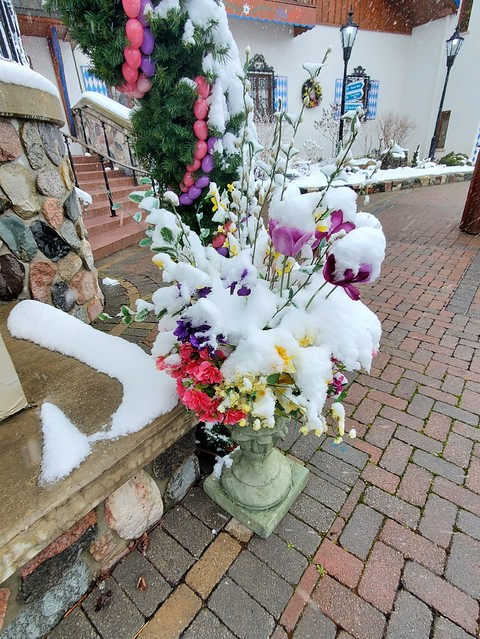 Late Winter Snow meets Easter Decorations