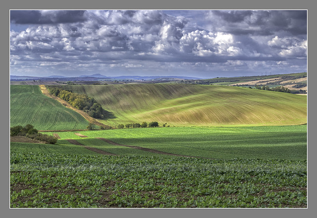 Fields  of Moravia-4126abc