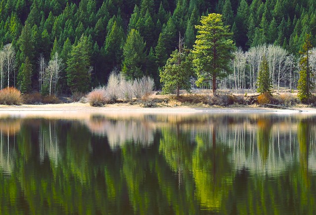 Mamet Lake reflections