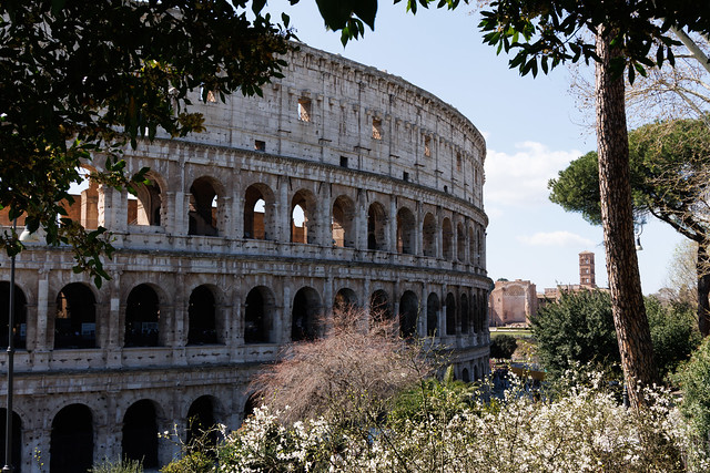 The Colosseum 0772 [explore]