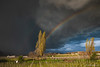 Temporale, sole, arcobaleno e grandine:heart_eyes: