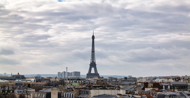 Rooftop and Eiffel Tower in Paris -L1000619-