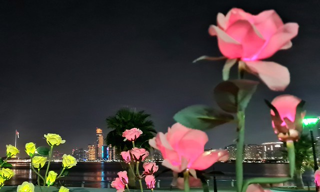City and flower lights