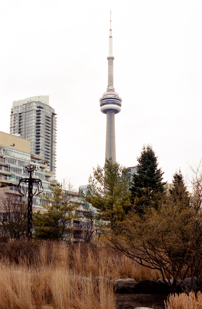 CN Tower From the Music Garden