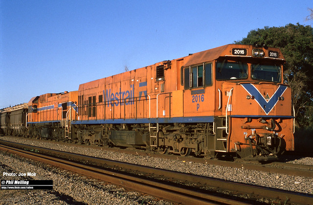 J5316 P2016 AB1531 grain train Toodyay West on 13 October 2000