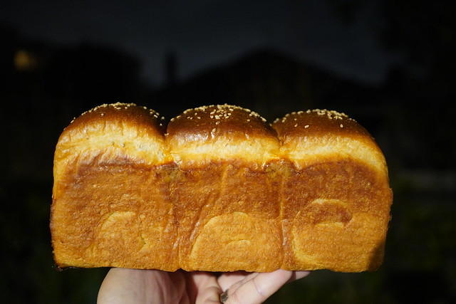 Julia's wholemeal sandwich loaf - sourdough_083