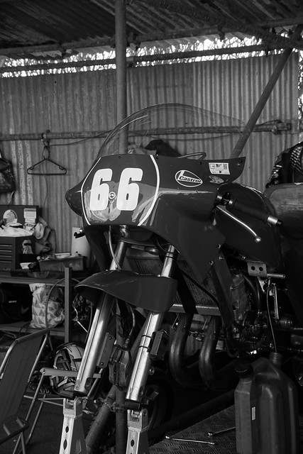 Exactweld Yamaha TZ250 1981, 250cc and 350cc Two-Stroke, Hailwood Trophy, 79th Members' Meeting, Goodwood Motor Circuit, Claypit Lane, Chichester, West Sussex, PO18 OPH (1)