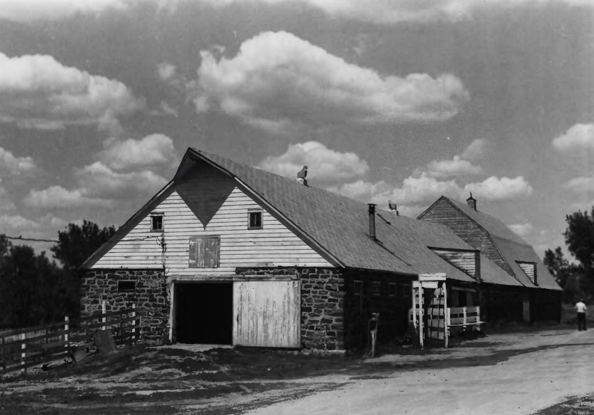 Old Elmsprings Colony, Cow Barn (Pony Barn)
