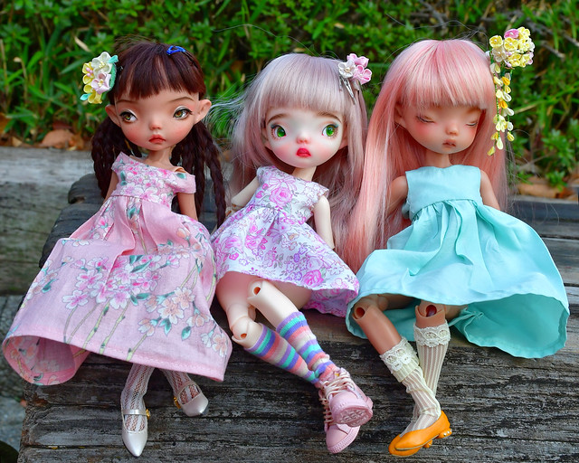 Piper, Harrow and Aspen sitting: spring clothes