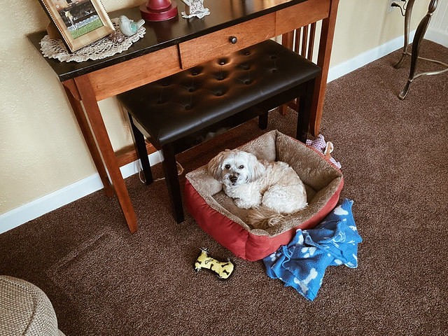 Rusty’s Bed
