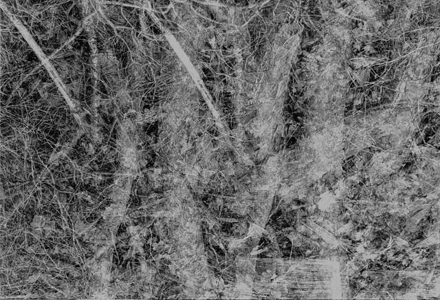 Multi exposure, 35mm Camera with 50mm Lens, Delta 400 in HC110