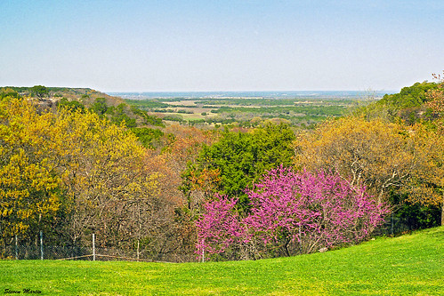 View from Roadside Park near Chalk Mountain, Texas, 1999 View of the countryside from the hilltop park on a Spring day near the northern edge of the Texas Hill Country. I am posting this photo in memory of Joel Crain, a Flickr personality known as The Old Texan who passed away recently. Joel was known for his photos mostly of the Texas countryside and wildlife, along with a large following. Joel&#039;s photos typically received dozens of comments and faves, and thus were sometimes featured on Explore. Joel also often commented on my photos and I commented on his photos in kind. Joel Crain&#039;s photostream is at &lt;a href=&quot;https://www.flickr.com/photos/97737300@N03/&quot;&gt;www.flickr.com/photos/97737300@N03/&lt;/a&gt;.