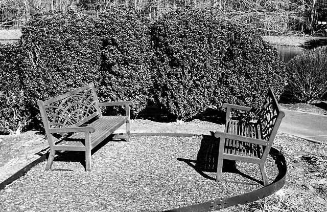 Lonely Benches - at least they have each other