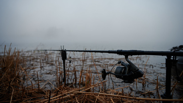 Fishing in the Fog